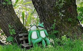 Am Froschteich